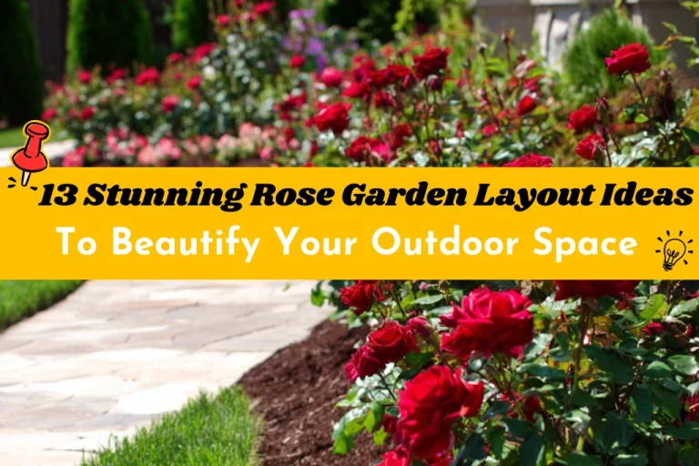 13 Stunning Rose Garden Layout Ideas to Beautify Your Outdoor Space