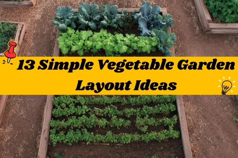 13 Simple Vegetable Garden Layout Ideas