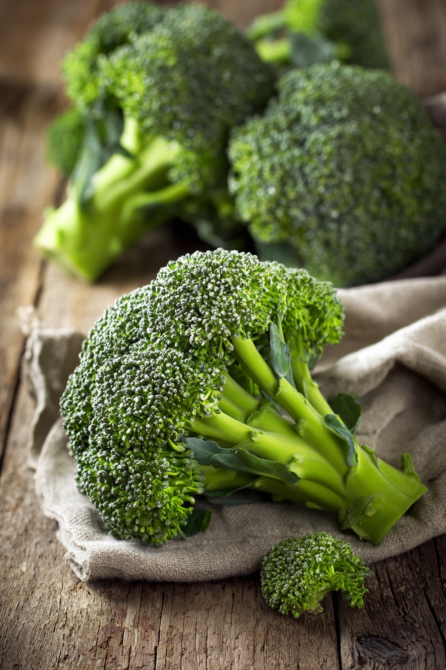 Fresh-Cut Broccoli for Fall Feasts