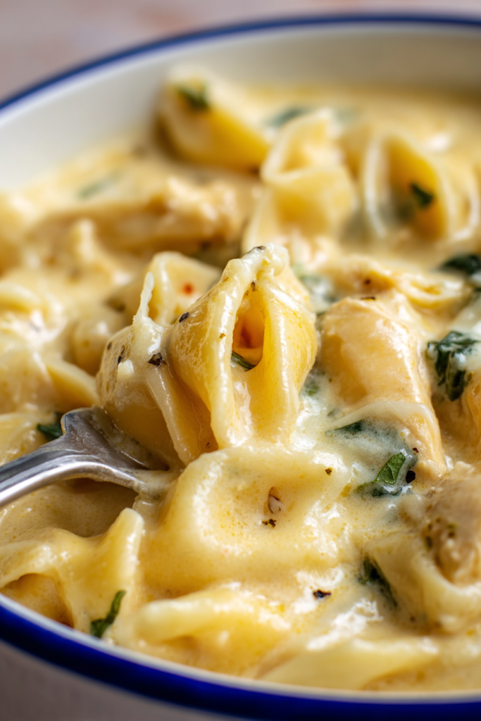 Creamy Chicken Alfredo Pasta
