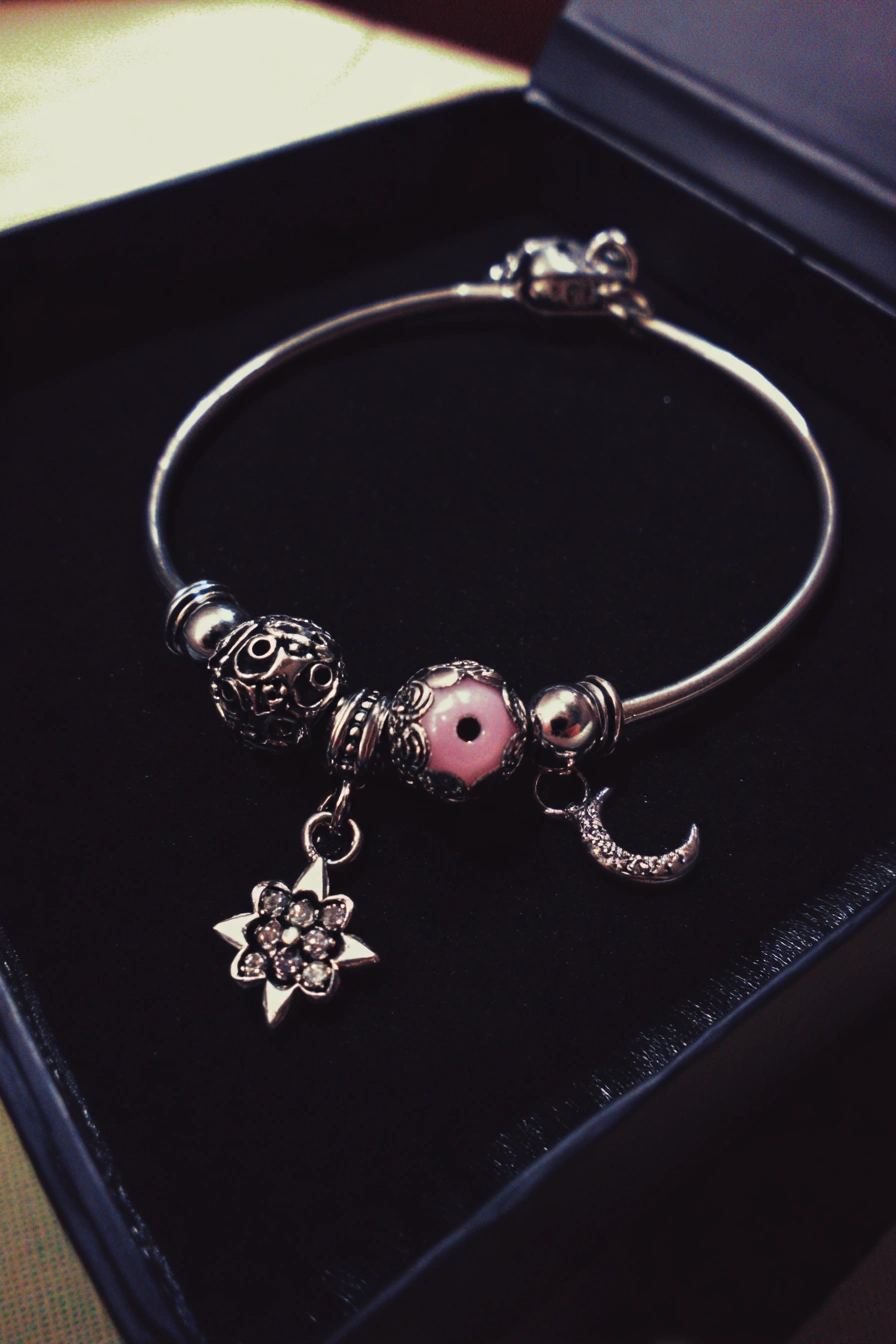 Celestial Bloom Silver Charm Bracelet