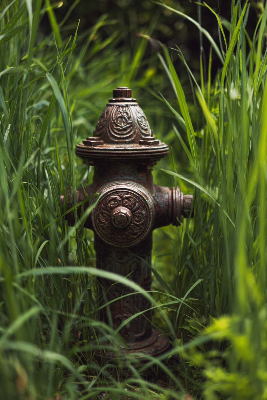 Vintage Hydrant with Hidden Utility