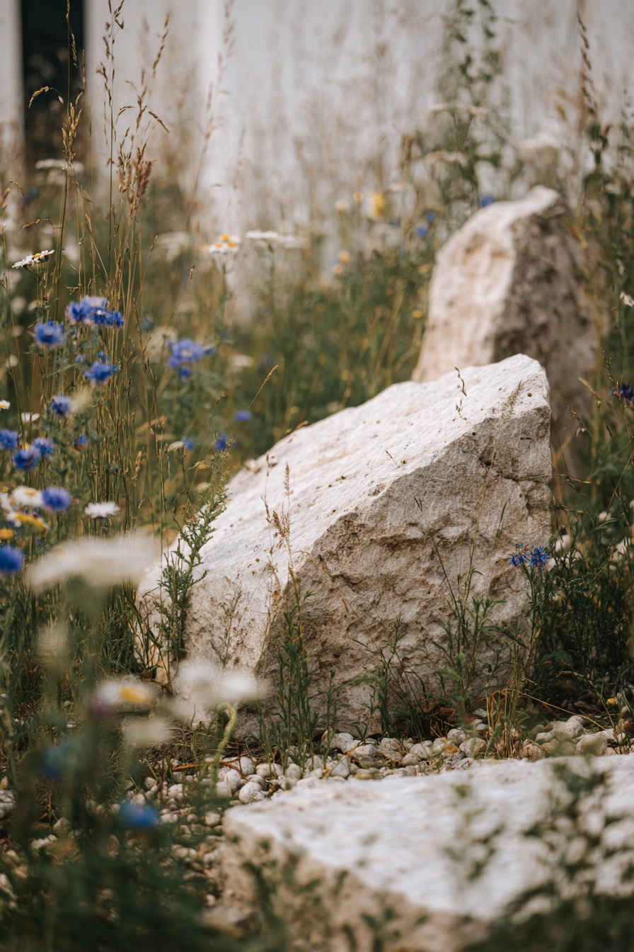 Fake Rock Key Safe in a Wild Garden