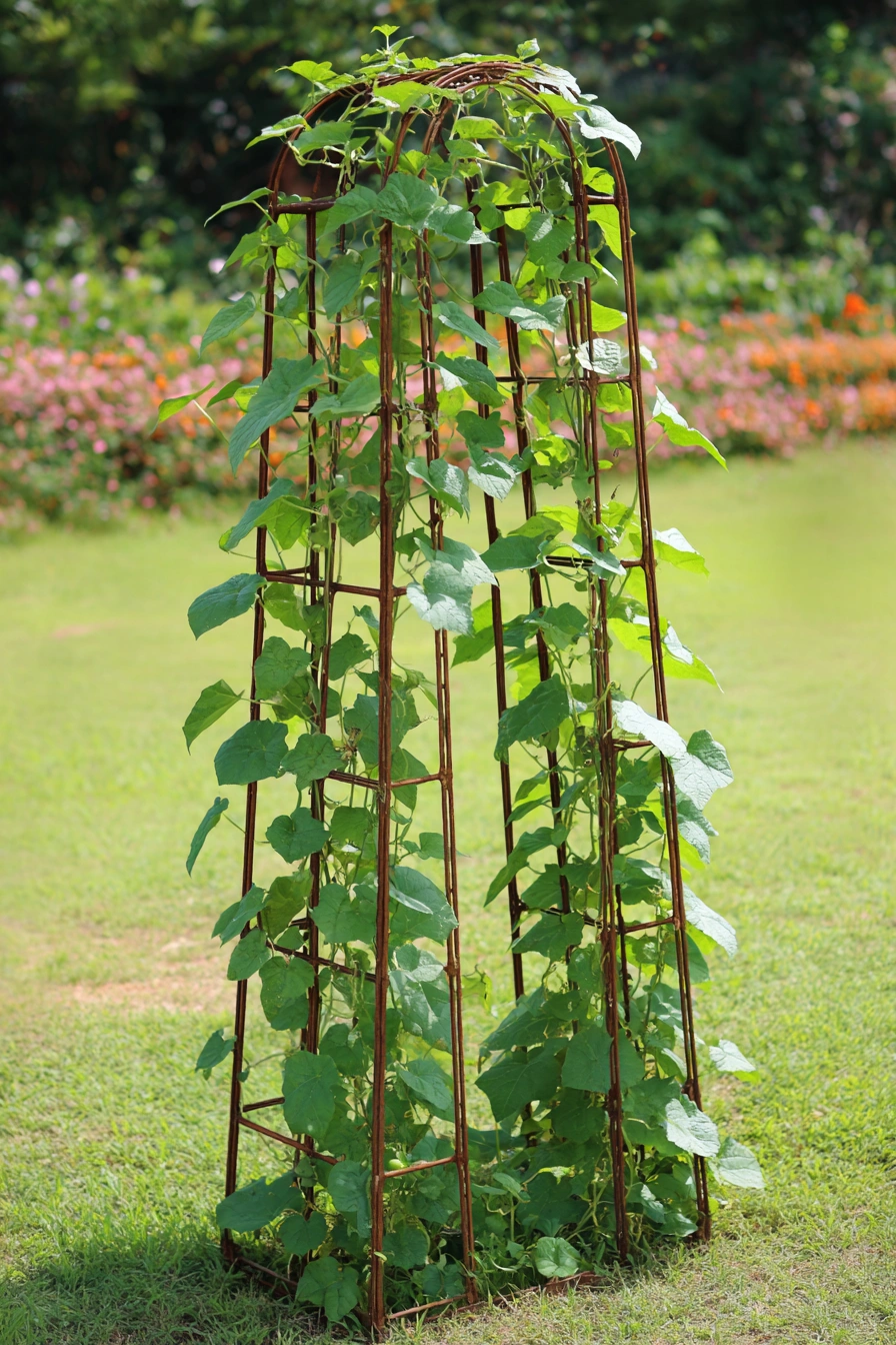 Mini Cattle Panel Obelisk Trellis