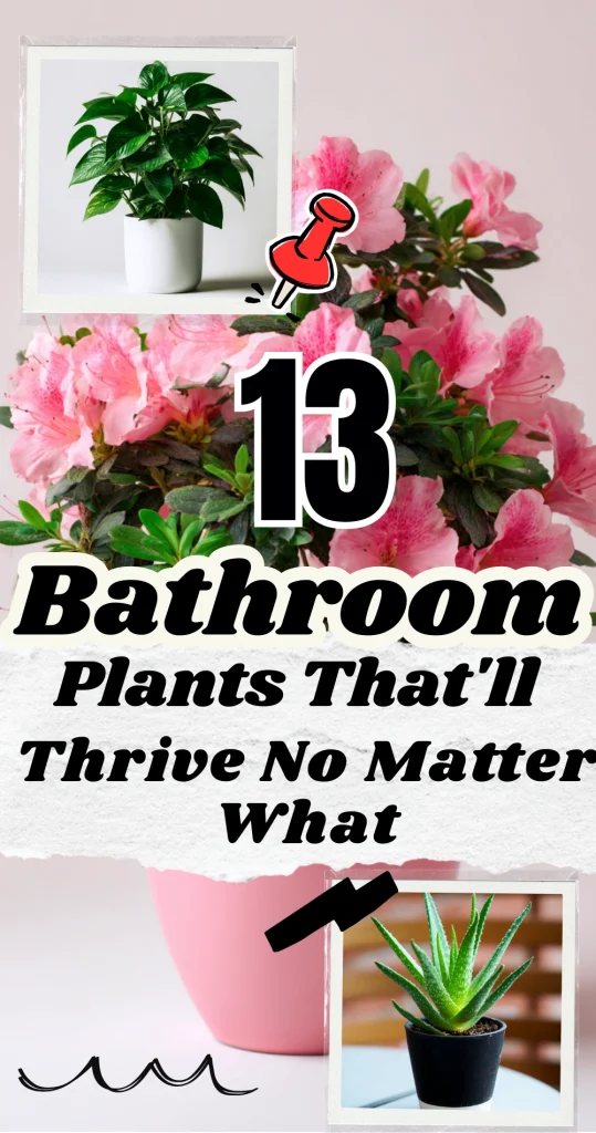 13 Plants for Your Bathroom Revitalize Space