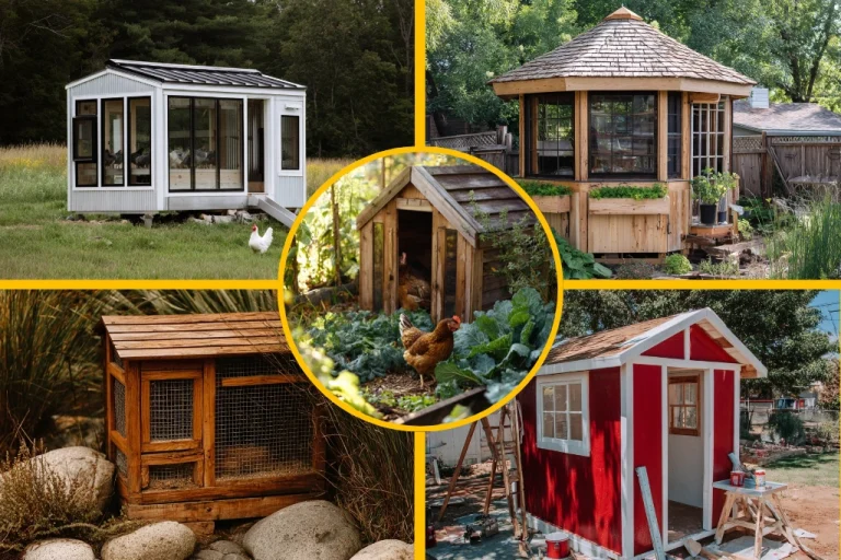 14 Creative Pallet Chicken Coop Ideas You’ll Love