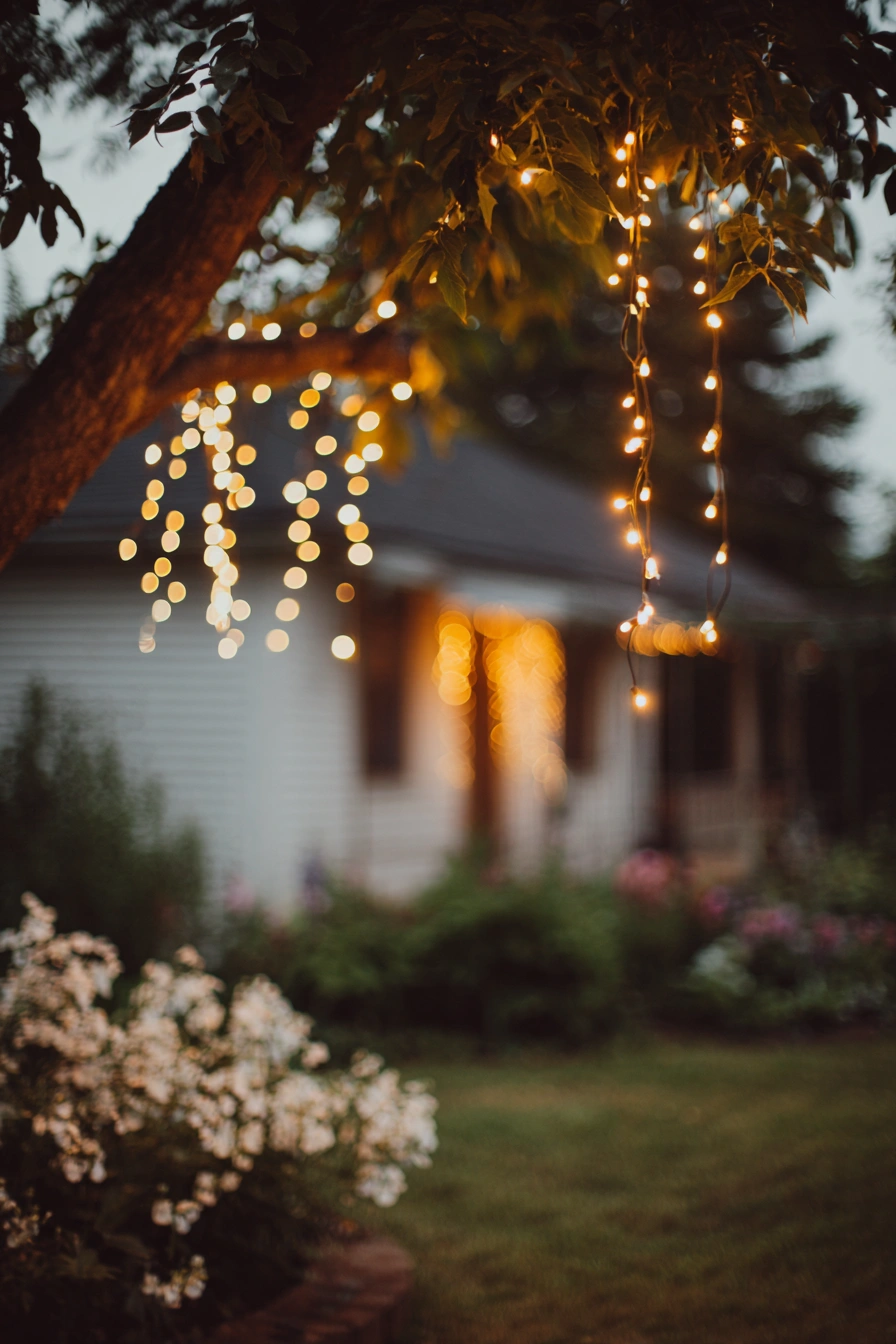 Warm Solar Tree String Lights