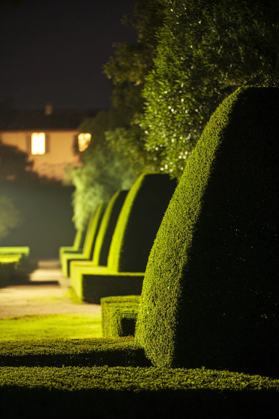 Elegant Solar Garden Path Glow