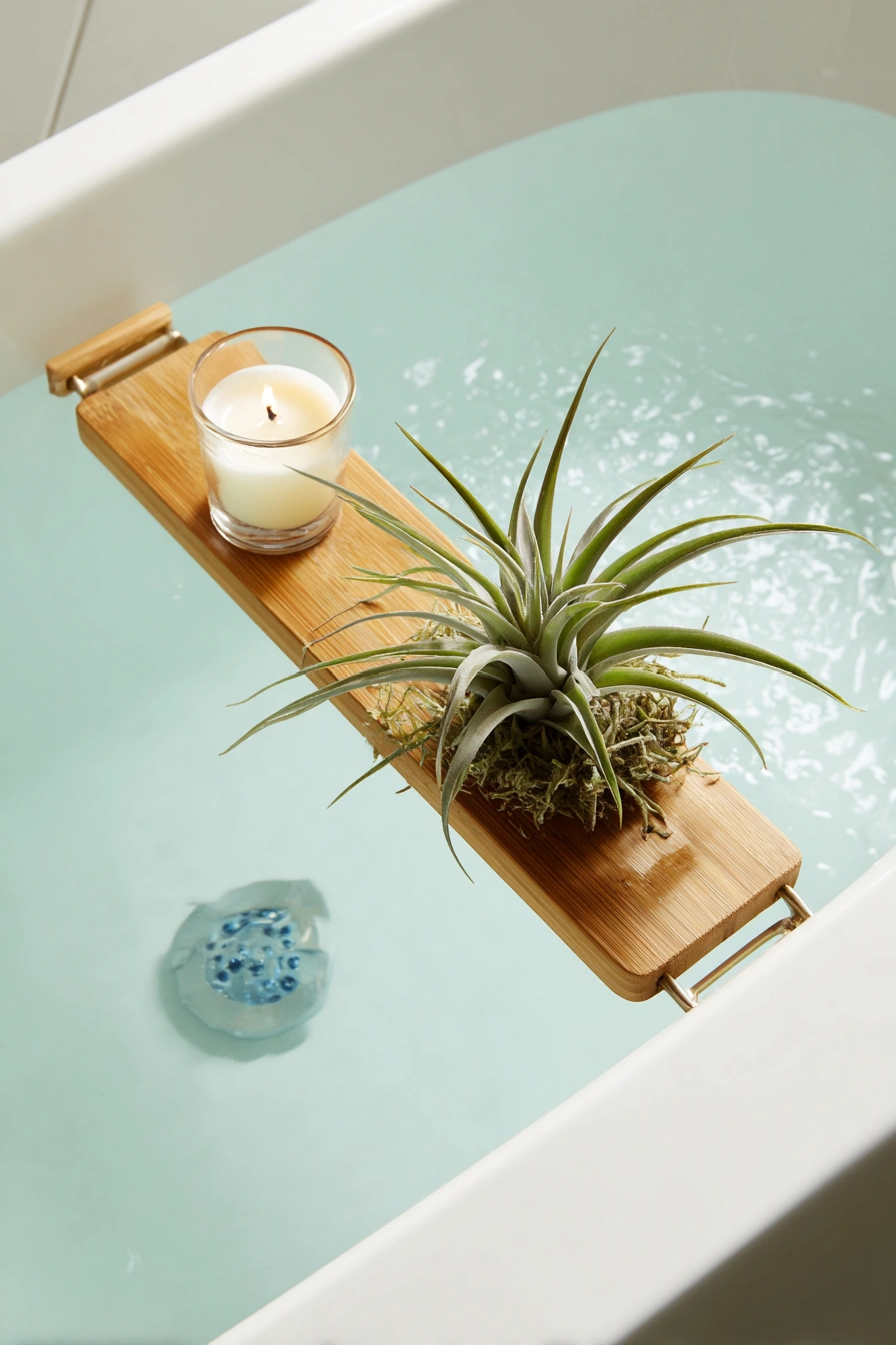 Minimalist Bath Tray with Air Plant Zen