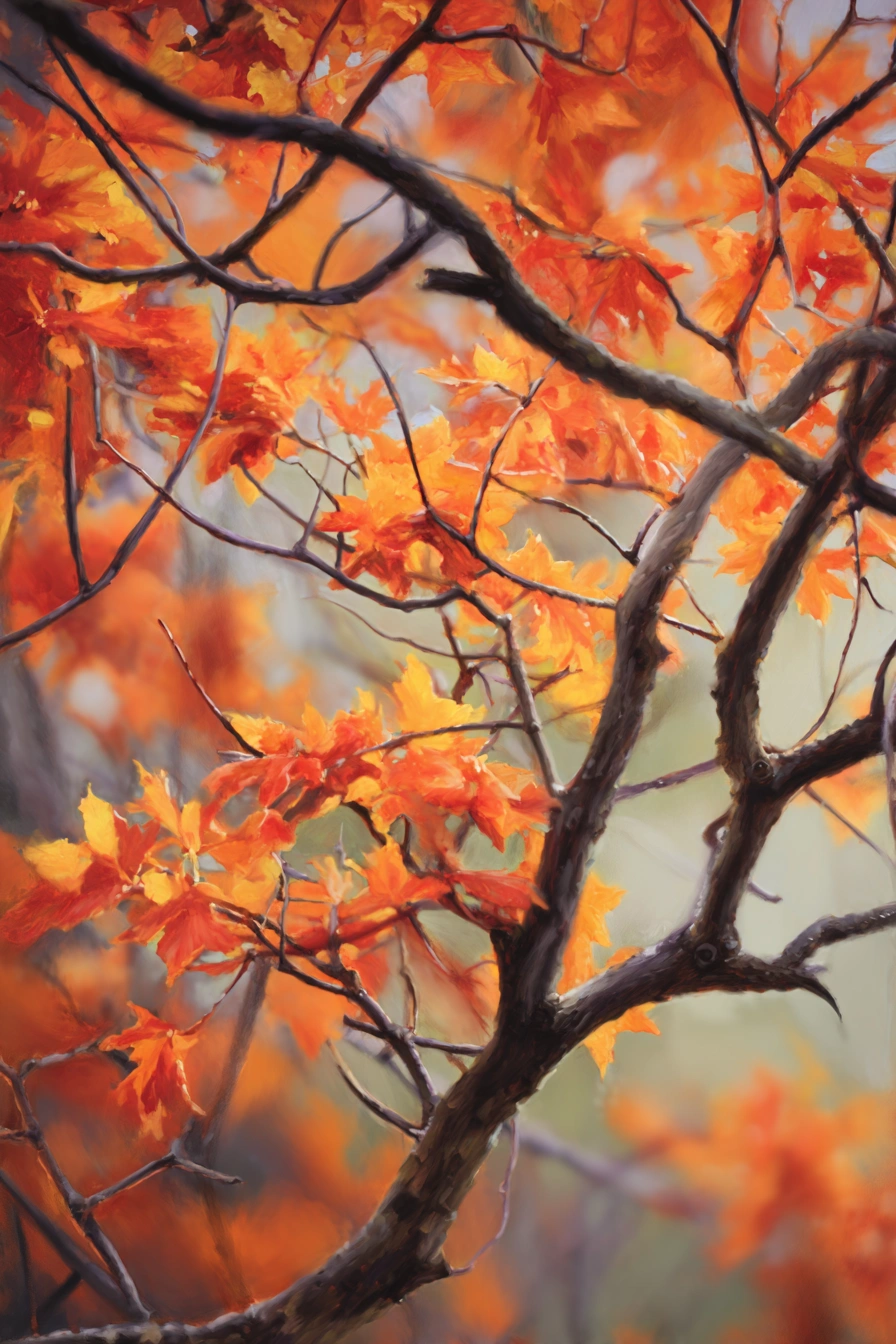 Evergreen Accents for Autumn Scenes