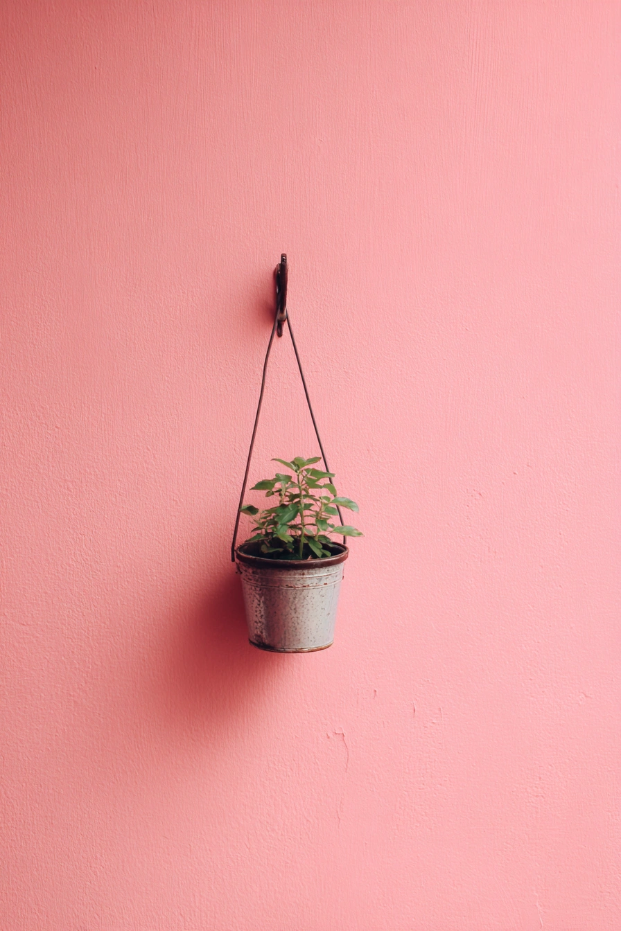Minimalist Herb Planter with a Pop