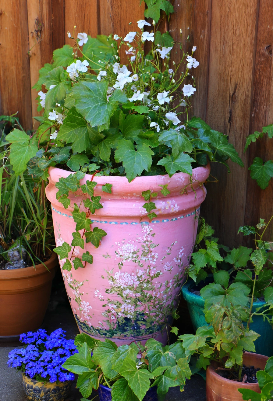 Romantic Garden Pot in Blush Pink