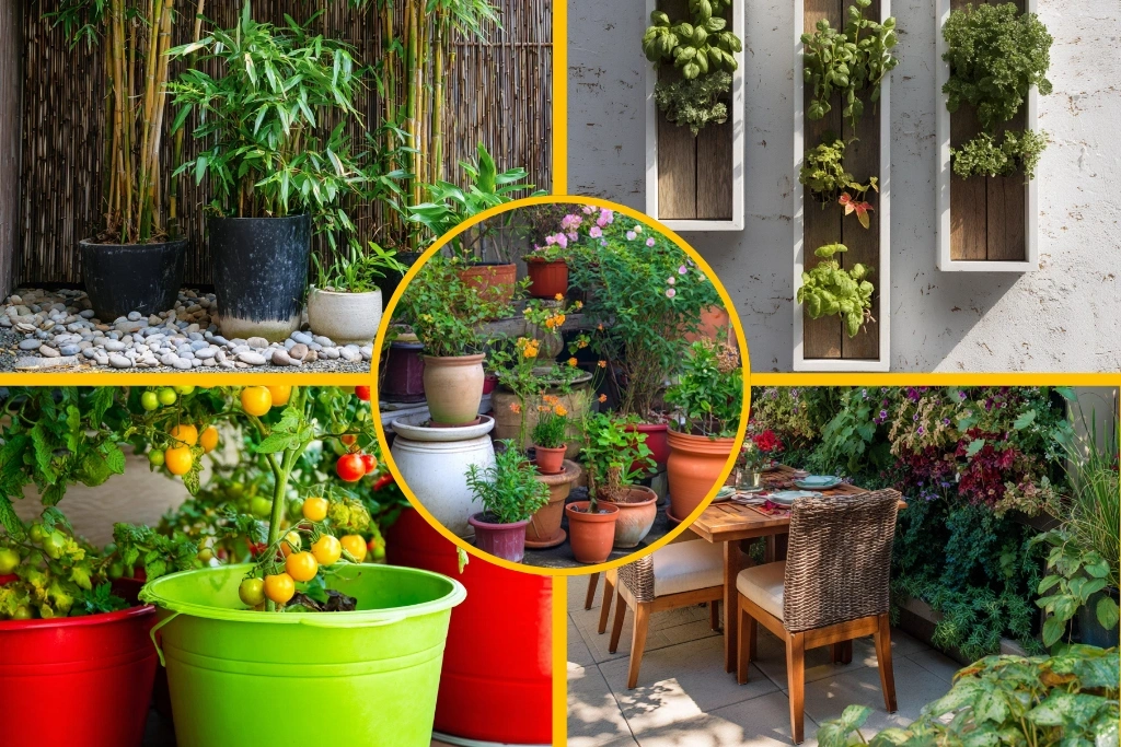 Patio Small Backyard Ideas for Limited Spaces