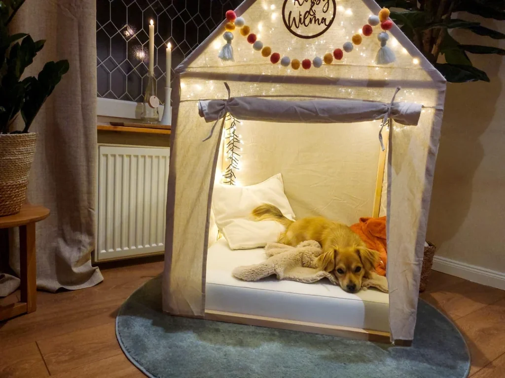 Room With Dog Crate Ideas That Still Feel Aesthetic