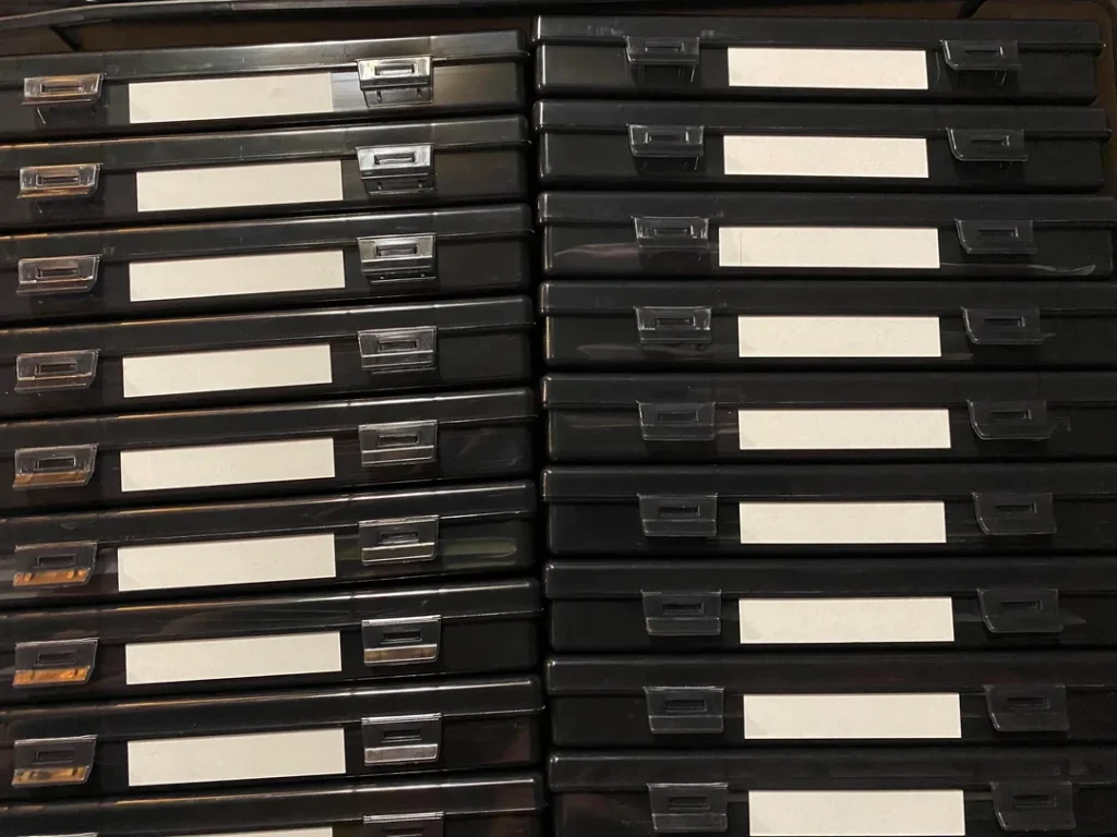 The Best Way to Store and Organize Garden Seeds