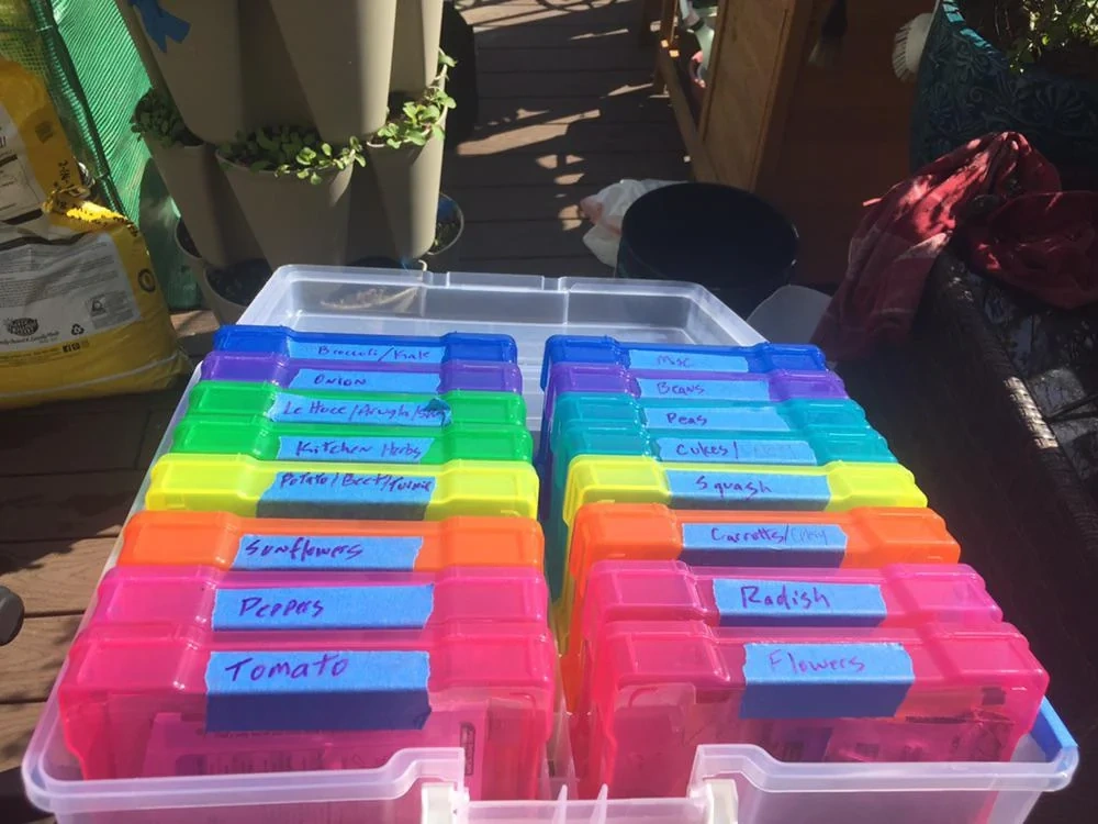 The Best Way to Store and Organize Garden Seeds