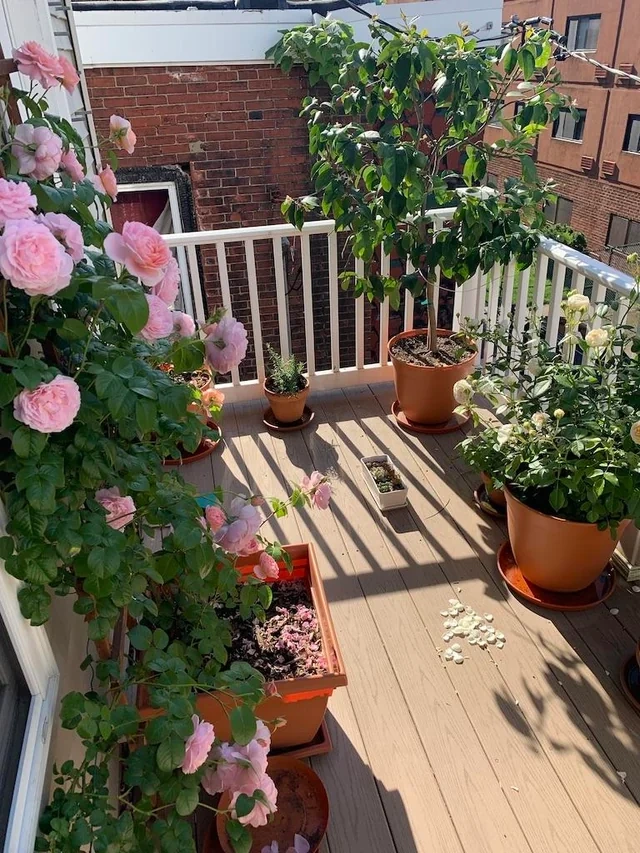 Floor protector for balcony privacy