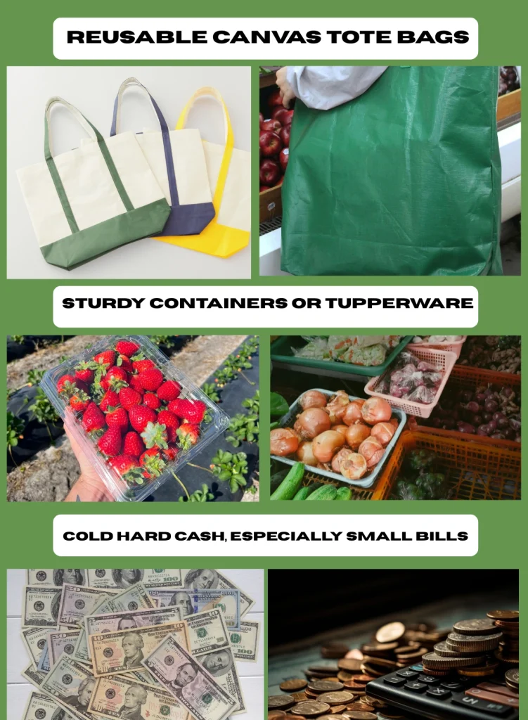 Farmers Market Shopping Pro Tips