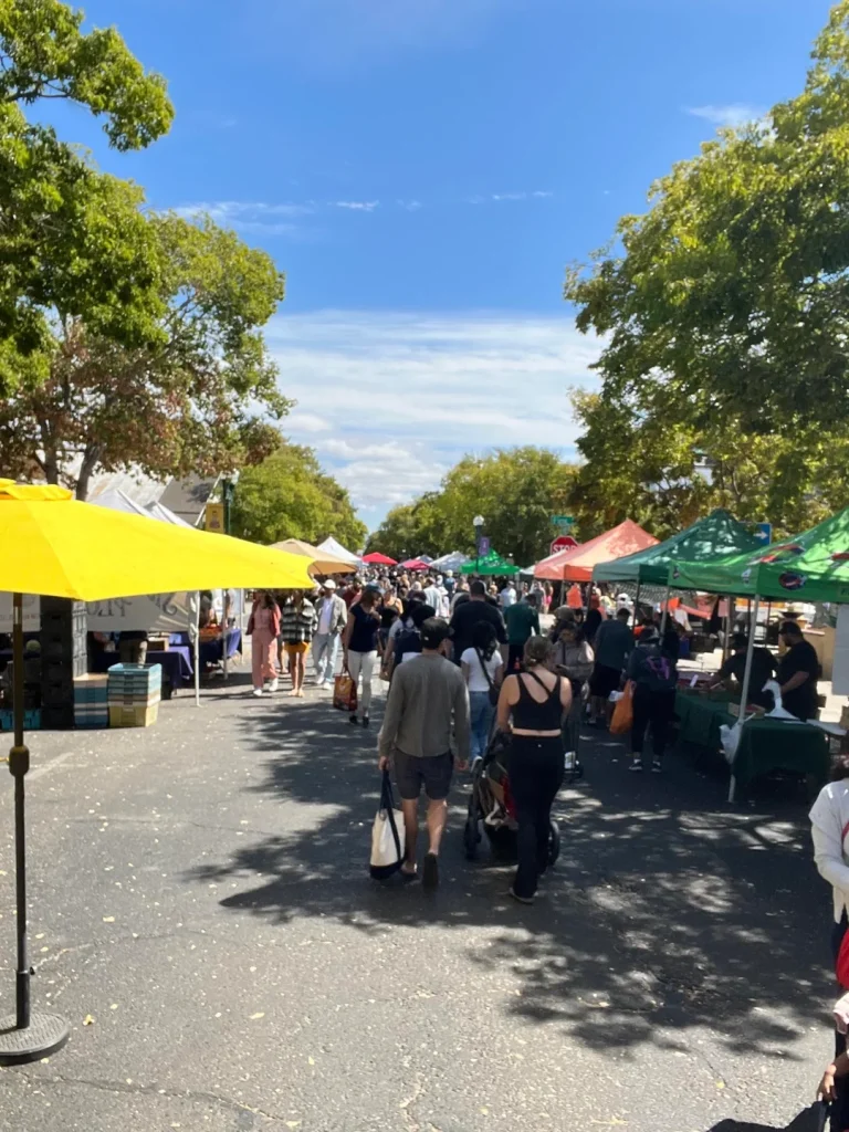 Farmers Market Shopping Pro Tips