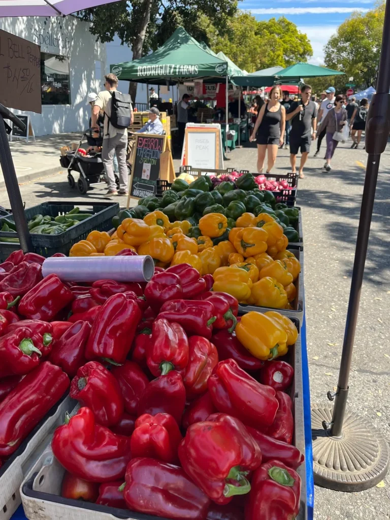 Farmers Market Shopping Pro Tips