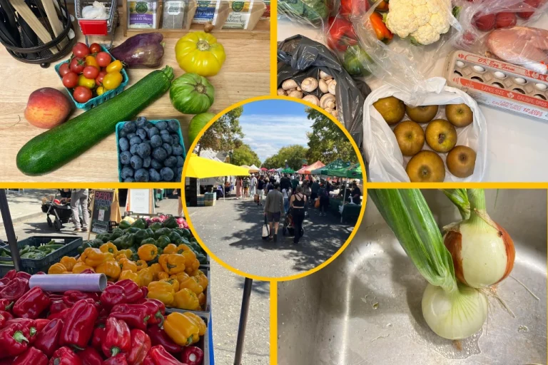 Farmers Market Shopping Pro Tips