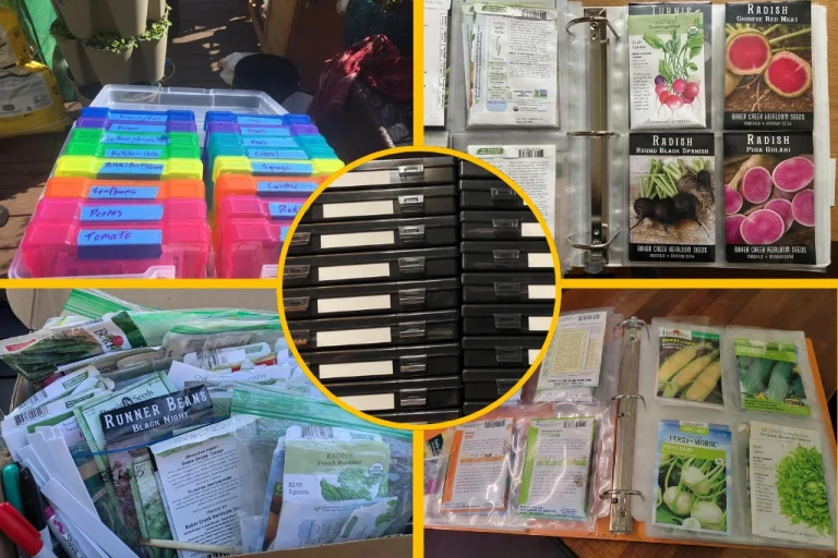 The Best Way to Store and Organize Garden Seeds