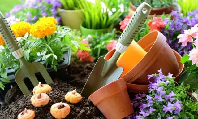 How To Organize Garden Tools So You Can Find Them