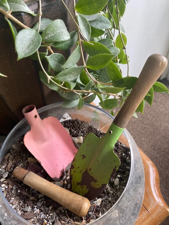 How To Organize Garden Tools So You Can Find Them
